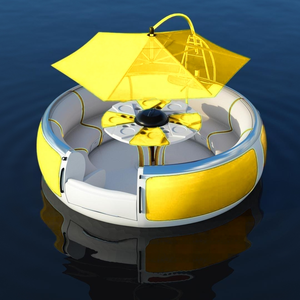 Özel ve toptan Donut barbekü tekne <span class=keywords><strong>OEM</strong></span>/ODM tatil evleri ve su parkları için yüzer barbekü deneyimi - Product Image 4