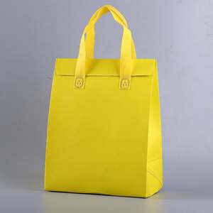 Sac isotherme à prix réduit, sac thermique avec logo personnalisé, poignée en aluminium épais, sac isotherme non tissé - Product Image 3