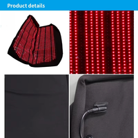 Selimut Terapi Cahaya Merah LED untuk Pereda Nyeri, Terapi Cahaya Merah Inframerah 660nm 850nm, Kantong Tidur Terapi Cahaya Merah untuk Detoksifikasi Tubuh