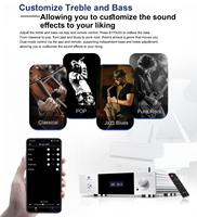 Amplificador Hi-Fi Integrado Winner AD-60 con Decodificador DAC sin Pérdidas y Amplificador para Auriculares, Receptor Estéreo Todo en Uno