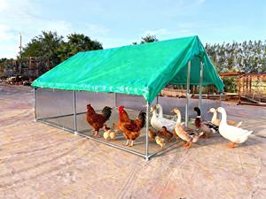 Jaulas de Metal Sólido Personalizadas para Perros y Gallinas, Corrales Exteriores con Embalaje en Caja, Duraderas, Transpirables, Varios Tamaños y Estilos - Product Image 3