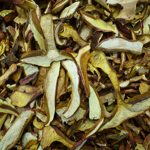 Seta roja seca cruda natural preciosa de <span class=keywords><strong>Boletus</strong></span> para la venta - Product Image 4