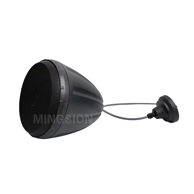 High Sensitivity 20W & 30W 5.5 Inch Tweeter Coaxial Hanging Ball Speakers for Mosque School Library Cafe Theater-PA Sound System