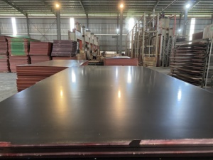 1220x2440mm hoặc 1830x915mm ván ép Xây Dựng Việt Nam ván khuôn - Product Image 3