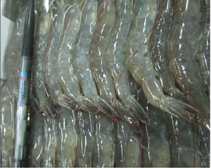 Tôm Vannamei Đông Lạnh Giá Rẻ - Product Image 5