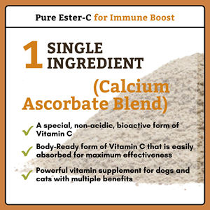 Integratore Naturale di Vitamina <span class=keywords><strong>C</strong></span> OEM/ODM per Cani e Gatti - Polvere di Ester-<span class=keywords><strong>C</strong></span> per Supporto Immunitario, Cura della Pelle, del Pelo e delle Articolazioni - Product Image 4
