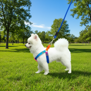 Adjustable Nylon <b>Pet</b> <b>Harness</b> and Leash Set for Small Dogs, Colorful Solid Design with Buckle Closure, Hand Wash Only, Model MAS2 - Product Image 2