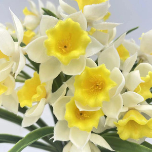 Fiori Artificiali di <span class=keywords><strong>Narciso</strong></span> Realistici Fatti a Mano, Morbidi e Durevoli, Bouquet per la Festa del Papà JingRui - Product Image 5
