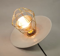 Lampe Chauffante pour Poulailler à Installation Facile - Lampe Chauffante en Aluminium pour Éleveuse de Volailles pour le Maintien au Chaud des Animaux de Ferme - Vente Directe Fabricant