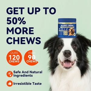 कुत्तों के लिए मछली का तेल ओमेगा 3 सॉफ्ट चॉइस-एलर्जी से राहत और संयुक्त स्वास्थ्य-खुजली राहत शेडिंग त्वचा और कोट विटामिन के पूरक खनिज - Product Image 2