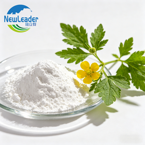 O-Acetil-L-carnitina Hidrocloruro CAS 5080-50-2 <span class=keywords><strong>ALC</strong></span> para Suplementación Nutricional - Product Image 1