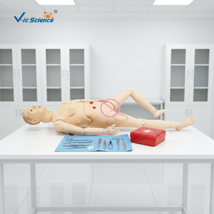 Maniquí de Cuidado de Enfermería, Modelo de Entrenamiento de Habilidades Médicas, Cuidador Geriátrico Senior Totalmente Funcional (masculino), Simulador de Enfermería - Product Image 4