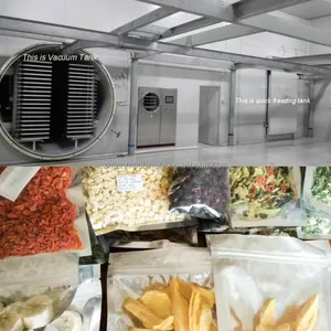 Machine de lyophilisation sous vide de fruits 100kg tranches de légumes fruits fraises Machine de lyophilisation sous vide