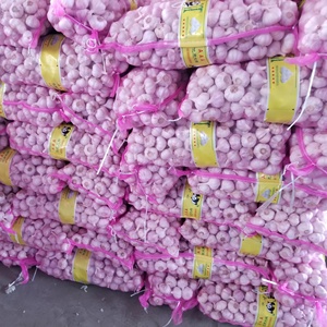 Ail chinois en vrac 2026, sac de 10 kg, 3-4 cm, pour la RDC Congo - Product Image 5