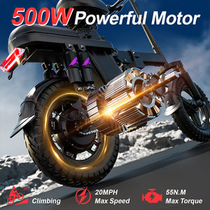 Bicicletta Elettrica Pieghevole con Motore Brushless, Batteria al Litio 48V 15Ah, Telaio in Acciaio ad Alto Tenore di Carbonio, Freni a Disco Meccanici, 25km/h - Product Image 2