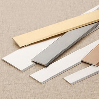 Paduan aluminium Strip datar Titanium garis dekoratif lantai Strip logam Flat Strip dinding latar belakang dengan pola tabung