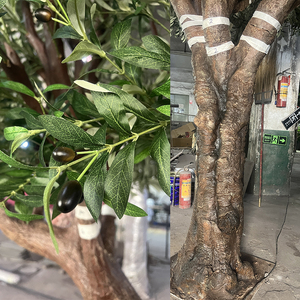 <span class=keywords><strong>Olivo</strong></span> de imitación de alta calidad, madera Real, 200cm, 210cm, 250cm de alto, <span class=keywords><strong>olivo</strong></span> viejo de imitación, árbol de <span class=keywords><strong>maceta</strong></span> Artificial de tacto Real para interiores - Product Image 6