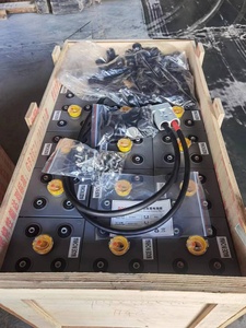 Sel Baterai Forklift 2V300ah Deep Cycle Flooded <span class=keywords><strong>Lead</strong></span> <span class=keywords><strong>Acid</strong></span> Battery Lebar 198mm Seri <span class=keywords><strong>PZS</strong></span> 5PZS300 untuk Forklift Listrik - Product Image 4