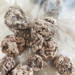 Chong Ying Guo Toàn Bộ Khô Nguyên Liệu Tự Nhiên Actinidia Polygama Trái Cây Cho Mèo Chơi Đồ Chơi - Product Image 2