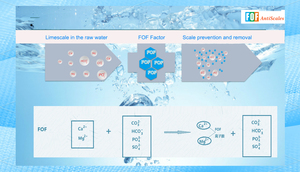 Filtro de Agua Desincrustante de Conexión Rápida <span class=keywords><strong>FOF</strong></span> de 1/4\", Filtro de Agua Antical, Filtro de Agua Antiescala para Refrigerador y Máquina de Hielo - Product Image 2