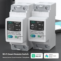 Commutateur de télécommande intelligent WiFi 63A 220V Mini plastique avec protection LI
