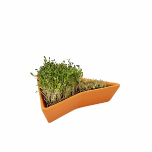 Bandeja de Germinación de Cerámica Naranja Ecológica al por Mayor, <span class=keywords><strong>Germinador</strong></span> Multifuncional para Brotes de Frijol/Hierbas y Microgreens - Product Image 5