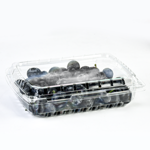 Geri Dönüştürülebilir Plastik PET Alt Havalandırmalı Meyve Yaban Mersini Ambalaj Kutusu Dikdörtgen Kapaklı Meyve Yaban Mersini Kabı - Product Image 1