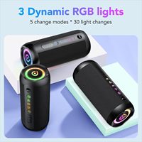 Altavoz Portátil de 30W con Sonido Estéreo, 3 Modos de Ecualización, Luces RGB, Resistencia al Agua IPX7, 24 Horas de Reproducción, Emparejamiento Inalámbrico TWS, Plástico, USB