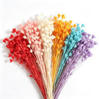 Bouquet de fleurs d'anis étoilé multicolores éternelles, fait main, longue durée (3-5 ans), idéal pour la maison, la Saint-Valentin