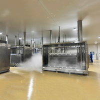 Industriële automatische fluidized bed vriezer en plaatvriezer voor snelvriezen van fruit, groenten en zeevruchten