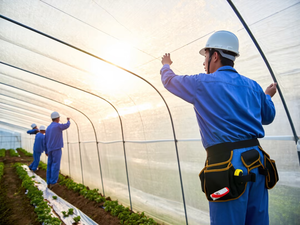 Invernadero de <span class=keywords><strong>túnel</strong></span> rentable mejor calidad <span class=keywords><strong>Túnel</strong></span> de plástico personalizado invernadero precio de fábrica más vendido invernadero para la venta - Product Image 5