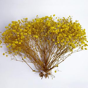 Flor Eterna, Flor Seca, Ramo de Flores Pequeñas Estrella del Cielo, 15 cm, 5 Piezas/ramo, Decoración para Bodas y Familia - Product Image 3