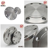 Shunfa Guten Brew Bouchon d'extrémité à bride forgée en acier inoxydable 304, 1,5''-4'', surface polie, basse pression NPT/BSPT