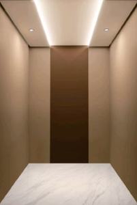 Ascenseurs résidentiels sans gaine de 2 à 5 étages, petits ascenseurs domestiques pour 4/5/6 personnes, ascenseur de maison en Chine - Product Image 2