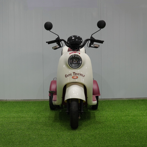 Petit Passager Deux Siège Tricycle Électrique 3 Roues Moto Ouvert Corps <span class=keywords><strong>Trishaw</strong></span> Électrique - Product Image 2