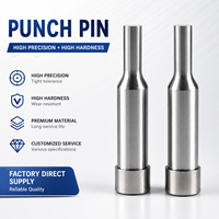 Poinçons de haute précision SKD11 SKD61, taille standard et formes spéciales, matrices de poinçonnage en carbure, pièces de moule, usine OEM
