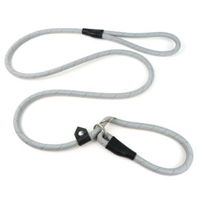 Animaux de compagnie fournissent en gros chien Whisperer Slip formation laisses colliers de plomb - Product Image 3
