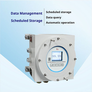 Analizador de Gases Multinfrarrojos a Prueba de Explosiones Runlai E150, Detector de Gases Múltiples Personalizable para CH4, CO, CO2, SF6, SO2, CnHm, NH3 - Product Image 5