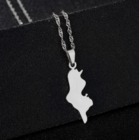 Collier en acier inoxydable avec pendentif drapeau national, carte de la Tunisie couleur acier, surface polie, série cartes nationales, cadeau tendance