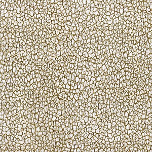 Hydro Dip Film Grano de madera Impresión de transferencia hidrográfica Película de inmersión en agua <span class=keywords><strong>para</strong></span> decoración Artículos de <span class=keywords><strong>muebles</strong></span> - Product Image 2