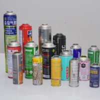 Bombe aérosol vide en fer blanc pour insecticide, avec pulvérisateur à pompe, logo personnalisé, impression CMYK, vente en gros