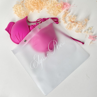 Pochette d'emballage pour soutien-gorge élégant et mignon à fermeture éclair sac de maquillage en plastique PVC transparent avec bouton pression pour sous-vêtements