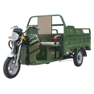 Economici E-Trikes 3 ruote Cargo triciclo elettrico moto tre ruote adulto