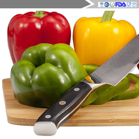 Couteau de cuisine professionnel avec manche ergonomique en plastique Couteau de chef damas VG10 de haute qualité
