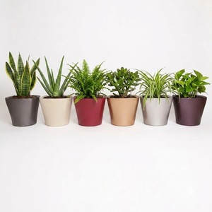 Maceta Moderna con Acabado Mate y Autorriego, Material PP, Forma Redonda Cónica con Indicador de Agua para Jardín Interior, Tamaño Grande - Product Image 1