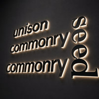 Enseignes lumineuses 3D en acrylique rétroéclairées pour magasin, enseignes LED, enseignes commerciales, logo, enseignes lumineuses personnalisées