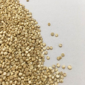 2024 Nouvelle récolte de <span class=keywords><strong>quinoa</strong></span> blanc pour la consommation humaine - Product Image 4