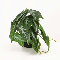 23 Feuilles Petit Faux Pot Bonsaï Mini Plastique GreeneryTropical Faux Taro Plante Artificielle Calathea Plante Verte pour Décoration Intérieure