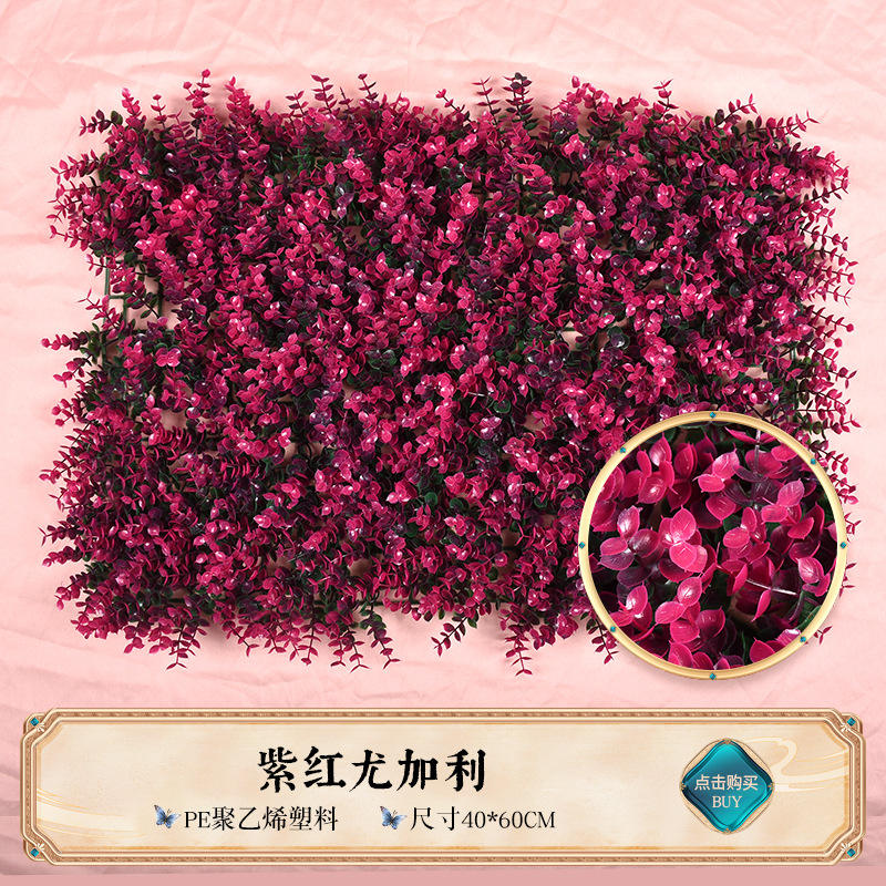 Purple red eucalyptus