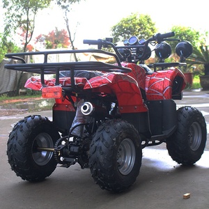 <span class=keywords><strong>Cuatrimoto</strong></span> de Servicio Pesado de 125cc, <span class=keywords><strong>ATV</strong></span> Utilitario con Capacidad de 180kg para Agricultura y Carreras - Product Image 4